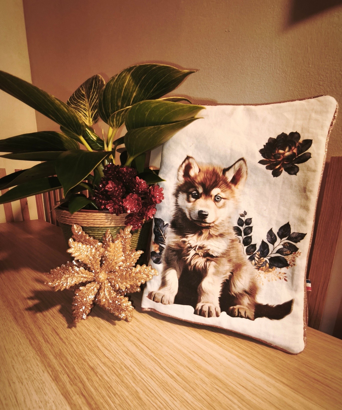Protège-carnet bébé husky
